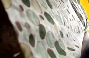 XXX پارتی آخر هفته سکسی انجمن شهوانیکوس