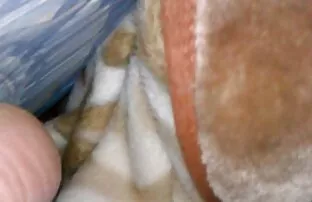 XXX وانت چک دوست دختر را لعنتی می کند و برای عکسهای سکسی و شهوانی پول پولشویی می کند