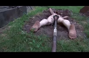 XXX کرمای اسپرت با الاغ الاستیک سوار بر عضو در آلت تناسلی مرد در دانلود کلیپ شهوانی موقعیت اسب است